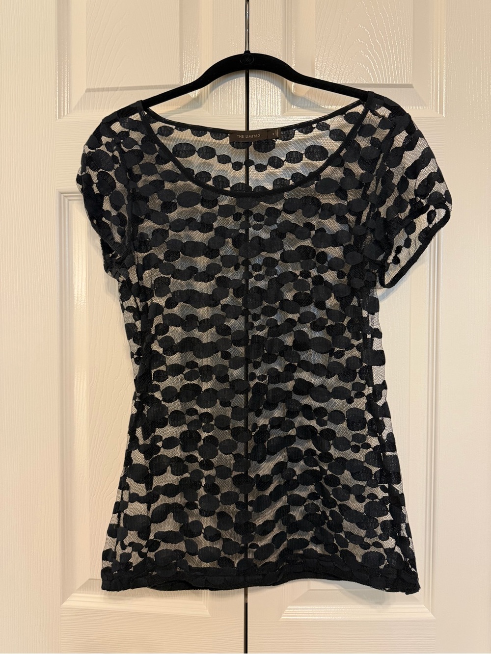 The Limited Black Sheer Polka Dot Short Sleeve Top